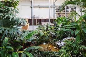 Diseño Biofílico: la naturaleza como clave para espacios más saludables y productivos