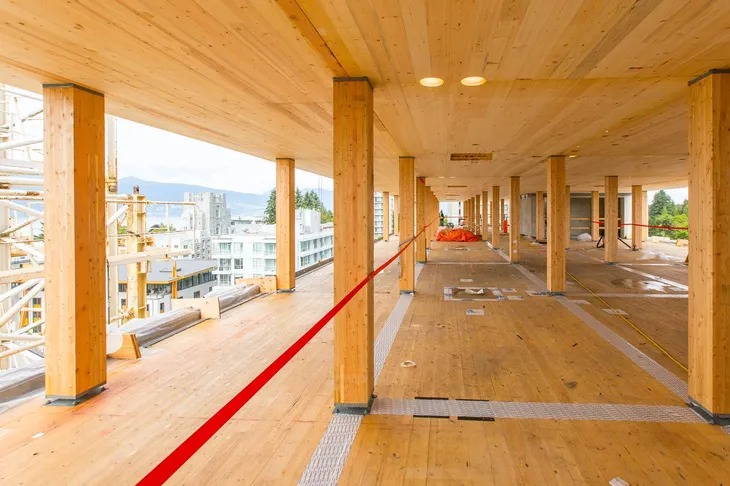 Construcción en madera de altura: tendencias mundiales y el desafío argentino de liderar el cambio