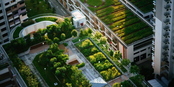 Terrazas verdes: un nuevo modelo de biodiversidad en altura