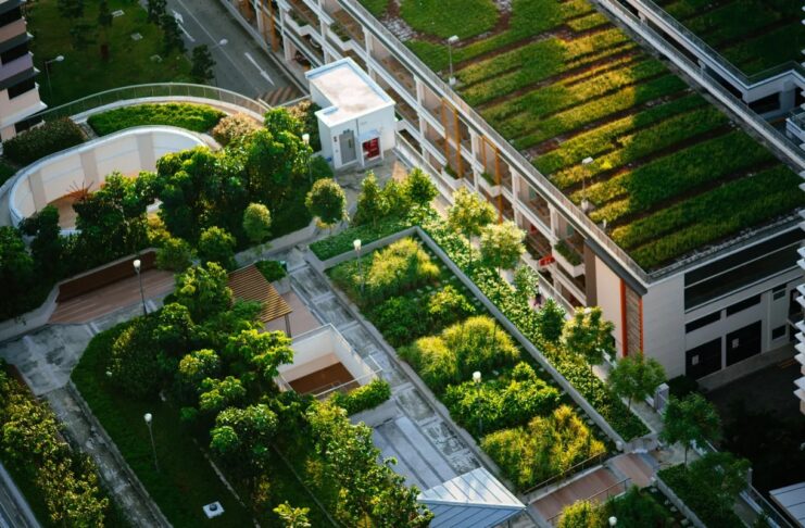 Terrazas verdes: un nuevo modelo de biodiversidad en altura