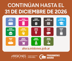 GOBIERNO MISIONES-PROGRAMAS AHORA 2026—350X300